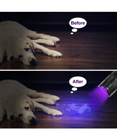 Fulighture UV Torch 2 Pack Pets Black Light 3 Modes Lights 395nm Dogs/Cats Urine Detector Ultraviolet Flashlight Find Dry Stains on Carpets/Rugs/Floor Operated by AA Batteries (Not Included) - Buy Online on SooperMarket.com