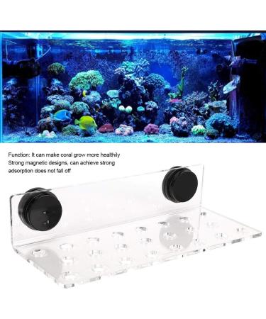 Cikonielf Magnetic Coral Rack Holder - 23 Hole Transparent Acrylic Aquarium Coral Bracket for Marine Tanks - Buy Online on SooperMarket.com