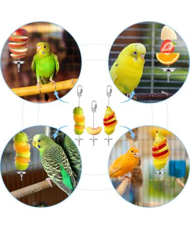 3-Pack Stainless Steel Parrot Spit & Bird Toy Holder for Nymphensittich & Budgies - Feed Hang & Treat Your Pets - Buy Online on SooperMarket.com