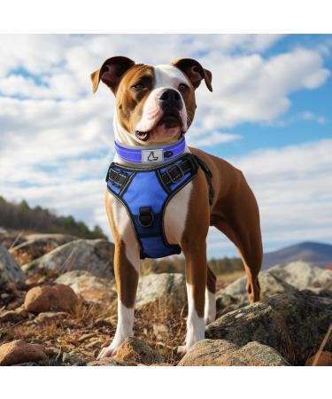 Buy Joytale Royal Blue Dog Collar - Softly Padded Neoprene for Medium Dogs | Nylon Reflective Wide Design - 1 Pack - Buy Online on SooperMarket.com