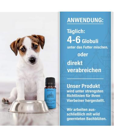 Saint Nutrition Lice & Fleas Plus Globules - Natural Remedy for Cats & Dogs | Homeopathic Solution with Bach Flowers | 10g - Buy Online on SooperMarket.com