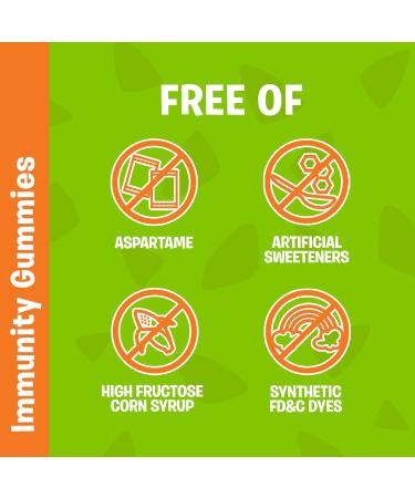 FLINTSTONES Kids Multivitamin Gummies Plus Immunity Support- Multivitamins for Kids Kids Multivitamin Gummy With Zinc and Extra Vitamin C Free of Artificial Sweeteners Free of Aspartame Free of Synthetic FD&C Dyes 60 Gummies - Buy Online on SooperMarket.com
