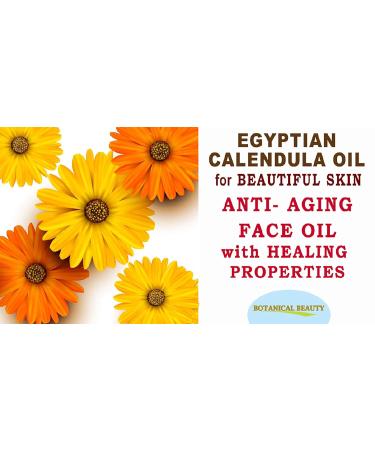 Buy Pure Egyptian Calendula Oil | Natural Moisturizer for Face Skin Hair & Nails | Botanical Beauty 1 Fl Oz (30 ml - Buy Online on SooperMarket.com