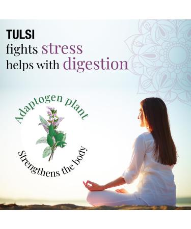 ORIGEENS ORGANIC TULSI TEA 100g | DRIED HOLY BASIL LEAVES | Loose leaf holy basil tea theine-free Anti-stress herbal tea - Buy Online on SooperMarket.com