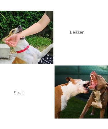Buy Koboko Breathable Dog Muzzle - Anti-Bite & Anti-Label for Medium & Small Dogs - Blue M - Buy Online on SooperMarket.com