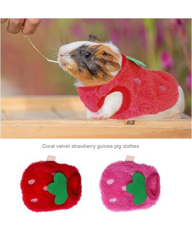 2PCS Strawberry Guinea Pig Winter Apparel Coats - Small Pet Warm Costumes for Rabbits, Ferrets, Chinchillas, Kittens - 3XS - Buy Online on SooperMarket.com