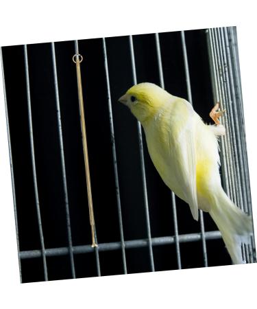 PRETYZOOM Bird Cage Cleaning Tool Bird Poop Cleaning Tools Jewelry Cleaning Kit Birds Brass Hamster 33X3X0.5CM As Shown - Buy Online on SooperMarket.com