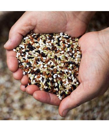 JRND Foods Premium Korean Five Mixed Grain Rice - Organically Grown, Healthy Vegan Grains | Non-GMO, No Pesticide - Buy Online on SooperMarket.com