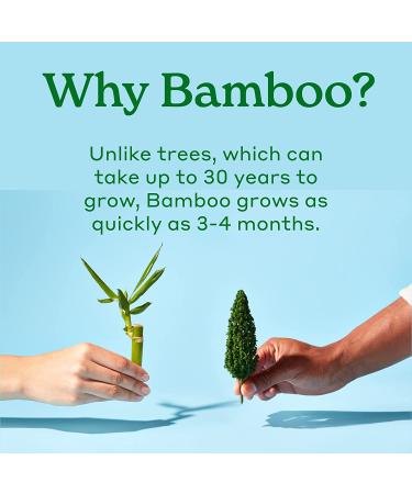 Caboo Bamboo Flushable Wipes 60 Ct Travel Packs (Pack of 3) | Eco-Friendly & Biodegradable | Septic Safe & Certified Flushable | for Adults & Kids - Buy Online on SooperMarket.com