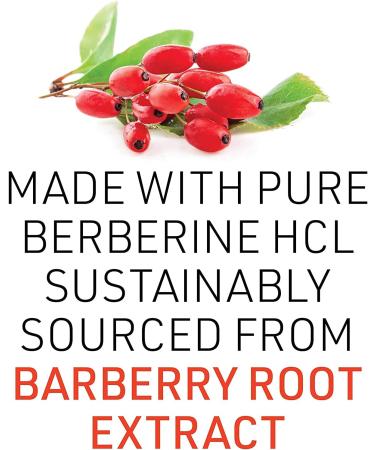 Natural Factors WellBetX Berberine 500 mg - 60 Vegetarian Capsules for Blood Sugar Support - Buy Online on SooperMarket.com