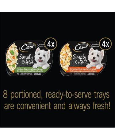 CESAR Simply Crafted Wet Dog Food Variety Packs | Adult Dog Food with Chicken Vegetables Fruits and Grains - Buy Online on SooperMarket.com