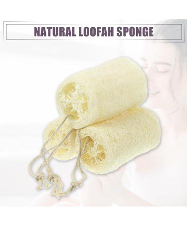 Shop VOCOSTE 3 Pcs Natural Loofah Sponge | Exfoliating Body Shower Sponges | Hang & Clean | Beige 3.94 - Buy Online on SooperMarket.com
