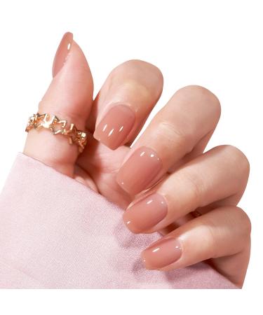 Buy Bartbox Square Press on Nails - Short Sheer Brown 30 Pieces - Artificial Nail Set for Women & Girls - Easy Stick-On Square Fake Nails - Buy Online on SooperMarket.com