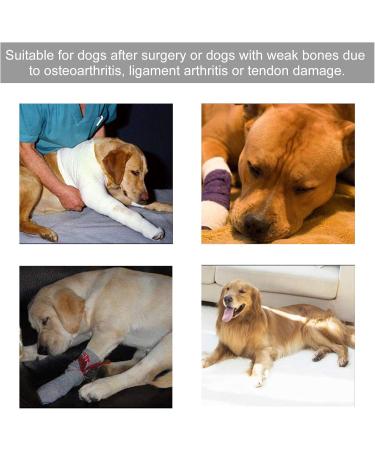 Pet Knee Brace Flexible Dog Leg Support Brace Impervious Shock Proof Dog for Pet(red XL) - Buy Online on SooperMarket.com