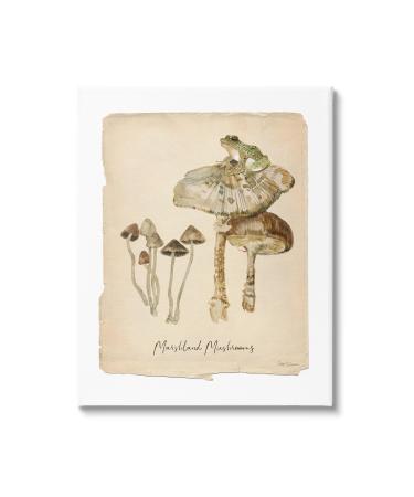 Stupell Industries Marshland Mushrooms & Frog Canvas Wall Art by Carol Robinson 24 x 30