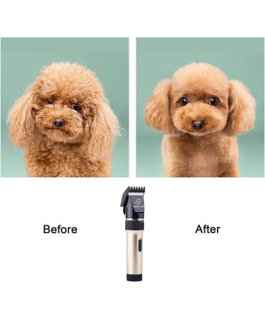 Professional Cordless Dog & Cat Hair Clippers with Detachable Blades and Guards - Rechargeable & Quiet - Ideal for Small Animals - Gold - Buy Online on SooperMarket.com
