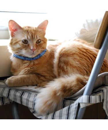 Custom Cat Collar Personalized Breakaway Cat Collar with Bell & Embroidered ID Pet Name & Phone Number (1PCS) - Buy Online on SooperMarket.com