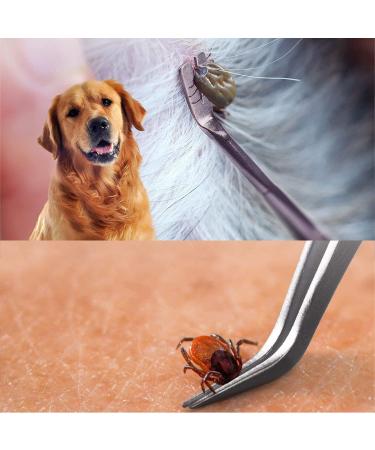 ILamourCar Tick Remover Tools for Dogs 4pcs Tick Removal Tool Set Painlessly Tick Remover for Dogs Cats Horses and Humans Pets - Buy Online on SooperMarket.com