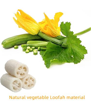 DEFUTAY 3 Pack Exfoliating Loofah Sponge Pads - Natural Luffa and Terry Cloth Scrubbers for Bath Spa and Shower | Men and Women | 3PC Set - Buy Online on SooperMarket.com