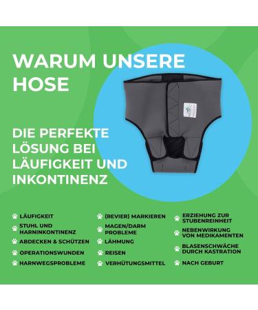 Nature PET Dog Diaper Pants for Female Dogs - Gray M - Incontinence Solution without Annoying Threading - Buy Online on SooperMarket.com