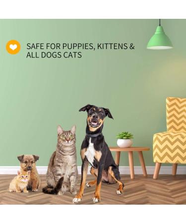 Nobleza Dog & Cat Shampoo | Anti-Itching Anti-Bacterial Sensitive Formula for Puppies & Kittens | 250ml Lemon Grass - Buy Online on SooperMarket.com