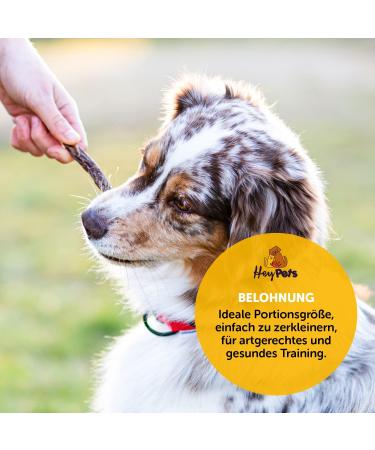 Hey Pets Puppy Sticks - Natural Grain-Free Chewing Bones for Small Dogs & Puppies | 100% Premium Cattle | 500g Dental Care Treats | International Shipping - Buy Online on SooperMarket.com