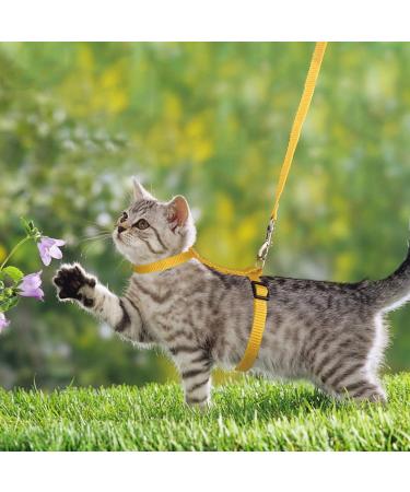 Adjustable Nylon Cat Leash & Harness Set | Soft Orange Cat Dishes for Kittens Puppies & Rabbits - Buy Online on SooperMarket.com