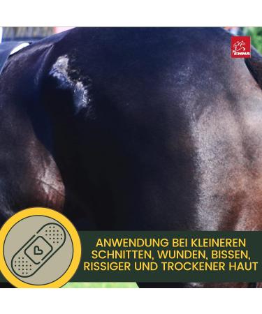 First Aid Set for Horses - Silver Spray & Zinc Ointment for Wound Healing Protection & Disinfection | 250ml & 200ml Options for Pets & Livestock - Buy Online on SooperMarket.com