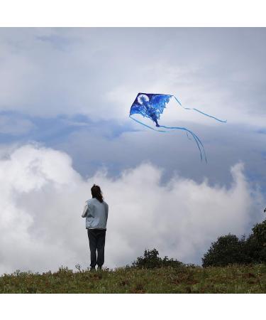 Dragon Kite for Kids & Adults - Easy-to-Fly Delta Beach Kite with 300ft String | Ice-themed Design - Buy Online on SooperMarket.com