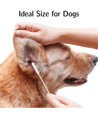 Buy Auidy 6txd 100-Piece Dog Ear Cleaning Sticks | Pet Cotton Swabs for Dogs & Cats | 15cm Ear Cleaners for Pets - International Shipping Available - Buy Online on SooperMarket.com