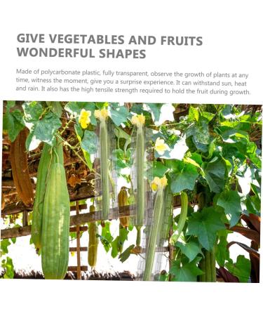 2pcs Vegetable Shaping Mold Cucumbers Vegetables Garden Fruit Mold Fruit Shaping Mold Modeling Melon - Buy Online on SooperMarket.com