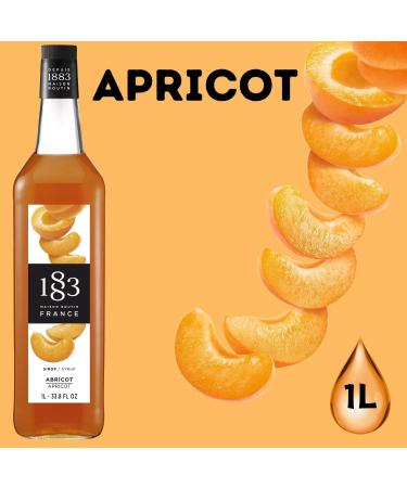 1883 Maison Routin France Syrup Pick N Mix - Choose From 100+ Flavours for Coffee Hot Chocolate Mocktails Iced Tea Cocktails Desserts Milkshakes - Pack of 6 x 1Ltr - Buy Online on SooperMarket.com