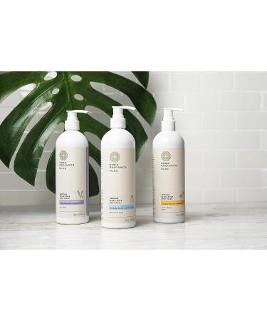 Shea Radiance African Black Soap Body Wash for Dry Skin, Eczema, Rashes, and Blemishes - Unscented (16 oz) - Buy Online on SooperMarket.com