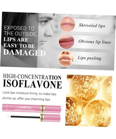 HAPINARY 2pcs Lip Serum Lip Oil Clear Lip Gloss Lip Balm Lipgloss Lip Tint Lips Moisturizer Lip Pomade Water - Buy Online on SooperMarket.com