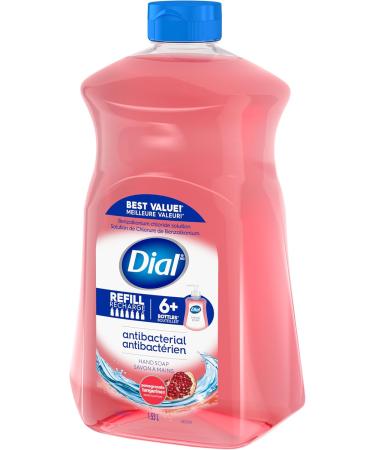 Dial Antibacterial Liquid Hand Soap Refill Pomegranate & Tangerine 1.53L Red - Buy Online on SooperMarket.com