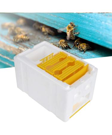 Plplaaoo Pollination Box | Professional Bee Queen Rearing & Breeding Equipment | International Shipping - Buy Online on SooperMarket.com