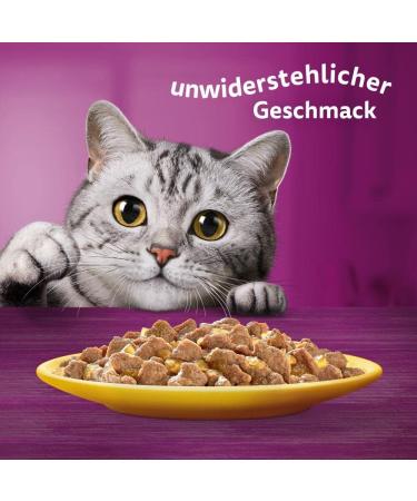 Whiskas 1+ Cat Food Chicken in Jelly 28x85g - High-Quality Wet Feed for Adult Cats - 2.38 kg Pack - Buy Online - Buy Online on SooperMarket.com
