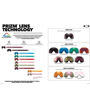 Oakley Flight Deck Ski Goggles Poseidon/Prizm Snow Sapphire + Care Kit - Men/Women Large - Buy Online on SooperMarket.com