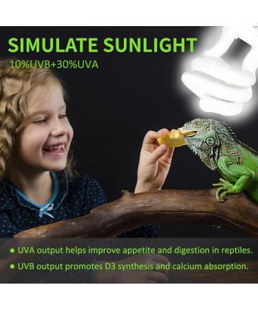 Caldarax 10.0 UVA UVB Bulb - 13W Compact Light for Desert Reptiles | E27 Tortoise Reptile Light for Lizard, Turtle, Snake, Chameleon, Bearded Dragon - Buy Online on SooperMarket.com