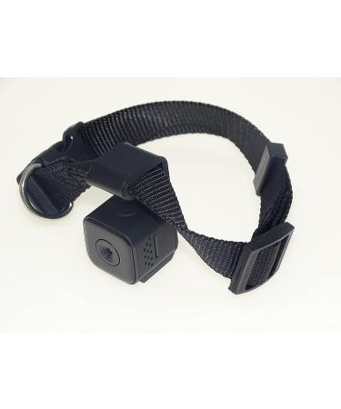 Pet Collar Cam DVR: Video Recorder & Monitor for Dogs, Cats, and Puppies - Buy Online on SooperMarket.com