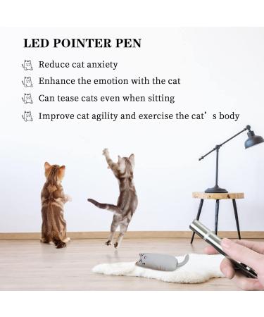 MOSNOW Cat Chase Toys 1 Pack 2 in 1 LED Pointer Cat Toys&1 Pack Cat Catnip Toys Funny Cat Toys Pet Interactive Toys for Pet Indoor Exercise Training Tool - Buy Online on SooperMarket.com