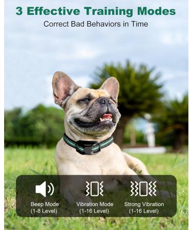 Dog Training Collar with 3300Ft Remote Range 3 Training Modes Sound/Vibration/Strong Vibration Security Lock IP67 Waterproof & Rechargeable Anti Barking Collar for Large Medium Small Dogs (GREEN) - Buy Online on SooperMarket.com