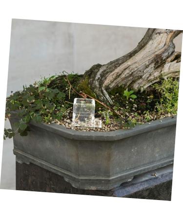 BESPORTBLE Pet Water Feeder Ants Waterer for Garden Ants Nest Water Feeder Ants Farm Water Feeders Plastic - Buy Online on SooperMarket.com