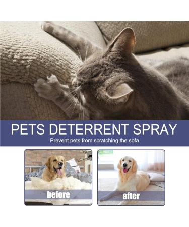 LDREAMAM Anti-Scratch Spray for Cats & Dogs - Effective Scratch Protection & Defense Spray - 1PC - Buy Online on SooperMarket.com