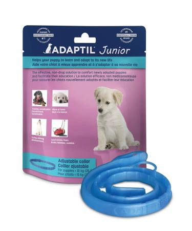 ADAPTIL Junior Calming Collar for Puppies - Reduce Crying & Whining and Improve Focus & Learning Dog Appeasing Pheromone Collar - (Puppy Calming Collar 1 Month Single Pack)