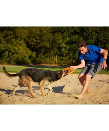 Chuckit! Rugged Flyer Dog Toy - Durable Frisbee for Throw, Fetch, and Tug of War - Buy Online on SooperMarket.com