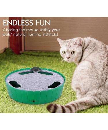Pawaboo Electric Interactive Cat Toy with Running Mouse - Automatic Rotating Teaser for Endless Fun and Exercise - Green - Buy Online on SooperMarket.com
