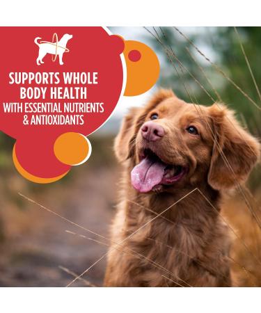 IAMS Proactive Health Dog Food Dry Adult Large Breed Chicken & Whole Grains Recipe 6.80kg (15LB) Bag & Proactive Health Minichunks Dog Food Dry Adult Lamb & Rice 6.5kg Bag - Buy Online on SooperMarket.com