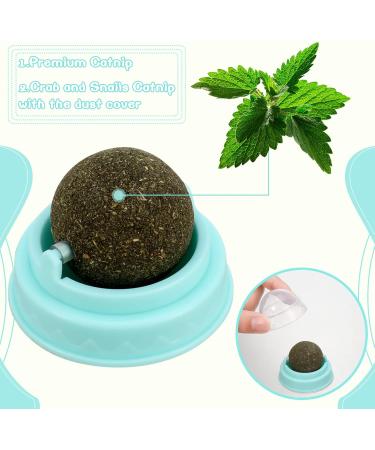 Xinstroe 4 Pack Catnip Balls Toys - Rotating Wall Catnip Balls for Engaging Cat Play | Shop Internationally - Buy Online on SooperMarket.com
