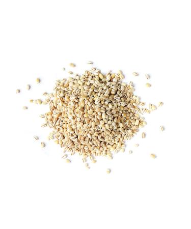 Organic Pearl Barley 3 Pounds - Non-GMO, Kosher, Vegan, Cooks Faster than Hulled Barley, Rich in Fiber & Selenium - Ideal for Risotto, Soup, Salads, Stews - 3 lb Pack - Buy Online on SooperMarket.com